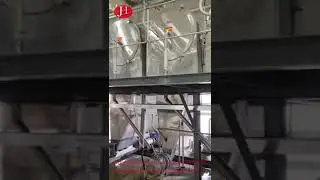 Automatic Industrial Cassava Flour Processing Machine 1200 R/Min Flour Milling Equipment