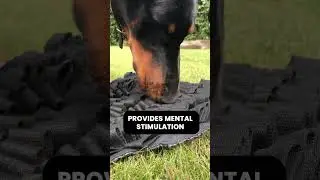 The Fenrir Foraging Mat