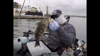 FLOAT TUBING FOR SPOTTED BAY BASS - 5 LEGAL SPOTTIES