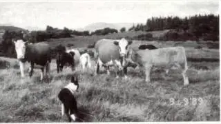 Irish Folk Belief