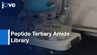 Split-And-Pool Synthesis & Characterization Of Peptide Tertiary Amide Library l Protocol Preview