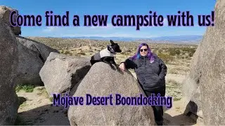 Come find a new campsite with us - Mojave Desert Boondocking - Solo Woman SUV Camping