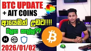 ආයෙමත් උඩට!! ඊලග කෑල්ල?? Crypto Update Sinhala|Total l Market Update Sinhala |  ROG CRYPTO