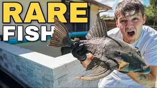My *NEW* PREHISTORIC FISH for 4000G BackYard POND!! (scary)