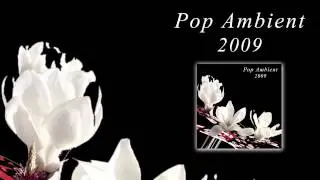 Andrew Thomas - A Dream of a Spider 'Pop Ambient 2009' Album