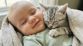 Peaceful Baby Sleeping with a Tiny Kitten 😍🐱| Most Cozy Moments 2026
