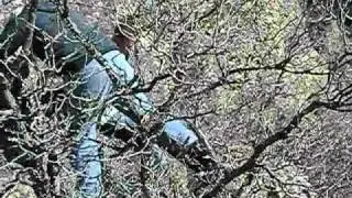 Camping Trip up Diamond Fork Canyon