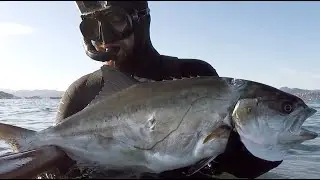 Chasse sous marine 2023 - La fin d'&eacute;t&eacute;
