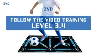 Expert 3.4, ZVD Soccer footwork Training Mat, Body Coordination/Ball Mastery Action Teaching