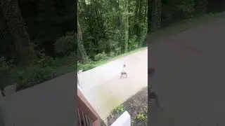 Running while moving the same leg and arm at the same time 