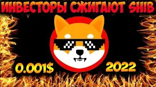 Инвесторы Сжигают Shiba Inu - Ожидаем Цену SHIB 0.001$ в Начале 2022