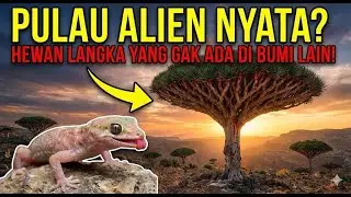 BUKAN DI MARS! Pulau Ini Dijuluki 'Alien' Karena Isinya...