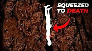 Squeezed In The Narrow Cave Shaft  The Infamous Death of Neil Moss