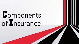 Components of Insurance | Joe Business Studio
