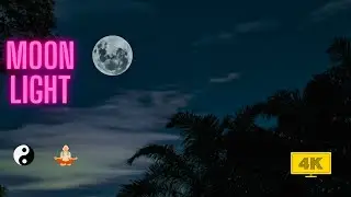 🌓Unlock a 3-Hour Ambient Relaxation Experience with Moon Light Sounds! 🔑 #4k 🧘&zwj;♂️