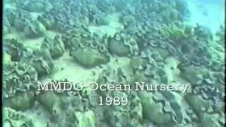 Largest Clam Farm
