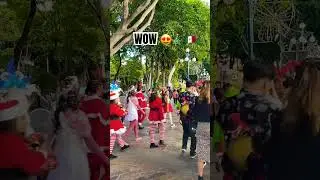 The MOST BEAUTIFUL Christmas parade in Puebla Mexico 🇲🇽