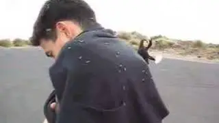 Australian Fly Attack