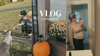 VLOG:  pumpkin patch/fall things + tj maxx AND target hauls + 19 week bump date | calli gebken