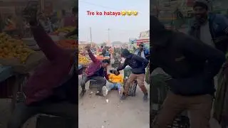 ट्रे किसने हटाया🤣😂🤣#trending #r2h #video, #dog #funny #video, #viral #video,