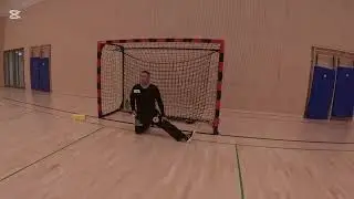 Goalkeeper training by Rajko Milosevic 