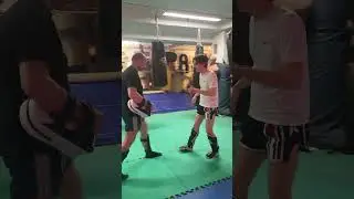 major gym hamburg k1 training