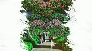 Colour Me Dubai Promo Clip