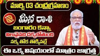 Meena Rashi Phalalu March 2026 | March Monthly Rasi Phalalu | Pisces Monthly Horoscope