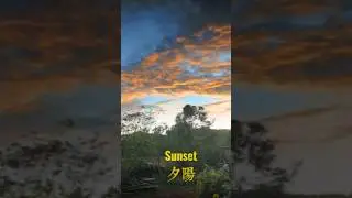 POV: You Found Paradise 🌅 | A Dreamy Sunset in the Countryside