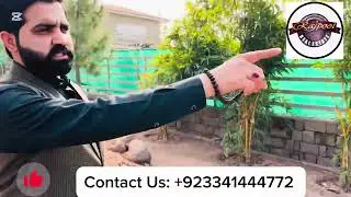 Pakistan Navy Farms Islamabad #Anchoragefarms # navalfarms #realestate