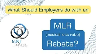 What should employers do with a Medical Loss Ratio Rebate (MLR Rebate)?
