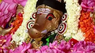 ஸ்ரீ வராகி ஜபம் செய்தால் எதையும் வெல்ல கிட்டும் || Bharadwaj Swami| Sri Varagi
