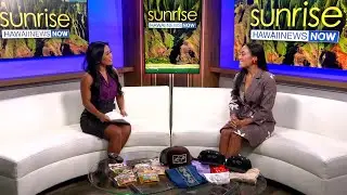 Hawaii Holiday Craft and Gift Fair returns to the Blaisdell Center
