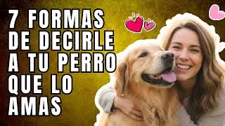 7 Maneras de Decirle a tu PERRO que lo AMAS: El Lenguaje del Amor Canino