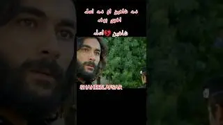 shaheen and asla | Da dare morchal | ده دري مورچل | sungurlar |YouTube #shorts #dilarab&uuml;y&uuml;kbayraktar