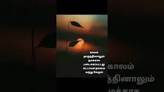 life changing quotes in Tamil #quotes #shorts #shortsfeed #trending