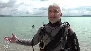 Lac Neuchâtel, L'histoire à peine croyable d'une amitié sous marine entre un silure et un plongeur