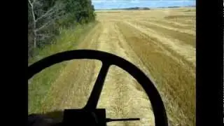 Combining Oats with the IH 1660.