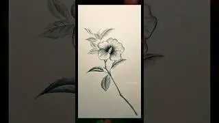 Simple Pencil Drawing Ideas 🎨 | Creative Art for Beginners #shorts #trending #viral #banglacartoon