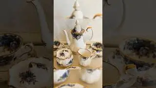 Royal Albert Moonlight Rose Cups and Saucers &ndash; Set of 6 Bone China, Avon Shape, Made in England