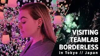 Everything You Need to Know Before Visiting teamLab Borderless in Tokyo, Japan