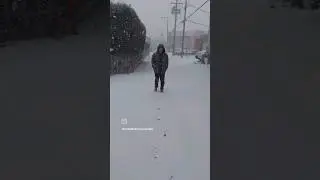 #snowstorm in Canada 🇨🇦 AMG #shorts #canada #snow #snowfall #winterincanada #winterwonderland #cold
