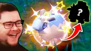 Реакция Шайни: Шайни Нумел в Pok&eacute;mon Scarlet & Violet!