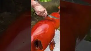 Whole Roasted Suckling Pig #shorts
