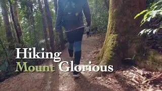 Hiking Mount Glorious, Maiala, D'Aguilar National Park, Brisbane