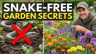 12 Snake-Repelling Flowers to Keep Your Yard Snake-Free Naturally
