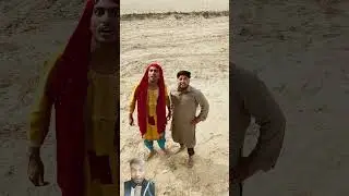 🤣🤣😂😂 Akela ki ped per chadh gai video #akela #comedy #trending #shorts