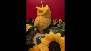 The Hootie Owl - pure beeswax candle