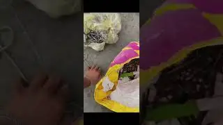 Dekhiae friend log Bihar mein aisa hi pillar dhalta Hai😈😄😄😄😄😄