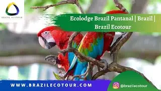 Ecolodge Brazil Pantanal | Brazil | Brazil Ecotour